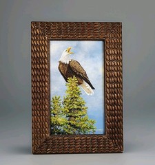 Original Oil Painting of Bald Eagle Signed Dan Andrews Custom Framed