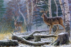 Winter forest deer Landscape HD Oil Painting Giclee Print Canvas