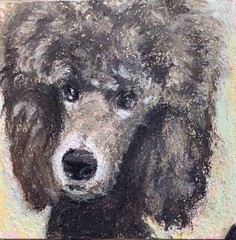New York City Dog Poodle Oil Pastel Portrait Impressionist Art 6”x6”