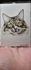 ACEO Original Watercolor Painting 2.5″x3.5″ Tabby Kitty Cat Pet Portrait