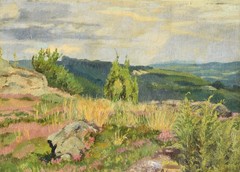Unknown unsigned/painting around 1930-40/wide landscape Eifel Heath