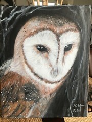 Original acrylic painting barn owl on canvas 16x20x0.5 in, wall art