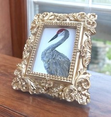 Sandhill Crane bird watercolor print in mini gold vintage style ornate frame