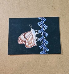 ACEO Small Butterfly on Lavender Flower Mini Original Art White Moth Signed Art