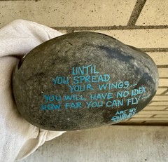 Butterfly Hand Painted in Acrylic ! Painted On a Large Rock! 6x4x4