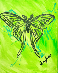 Guajardo Original Art: Luna Moth 14X11 Canvas Signed Art Expressionism