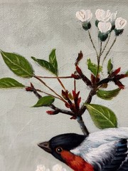 American 20C, J. Miller, Oil Painting on Canvas, Bird, Bullfinch on a Tree