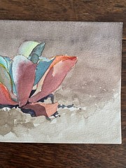 1990s Watercolor Painting Succulent Plant California Artist 6 x 9