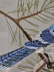 VTG 1988 Orig Blue Jay Watercolor Framed & Matted Signed Yvonne Lowrie 15″ X 12″