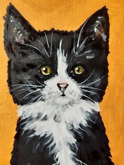 Black and White Cat Painting Cat Green Eyes Oil Artwork 12 by 9 Animal Art