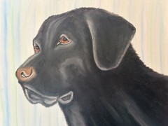 Original oil painting 11 x 14 inches handsome black Labrador retriever dog