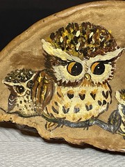 Hand Painted Owl Family On Conk Shelf Fungus With 6” X 3.75” Signed