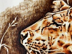 Original Painting of A Wild Large Cat Signed Bernie Dorfman 1988 29×23 Framed
