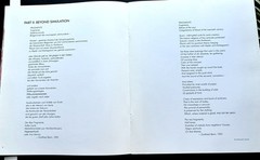 RARE JULIAN SCHNABEL PACE GALLERY EXHIBITION CATALOG 1986