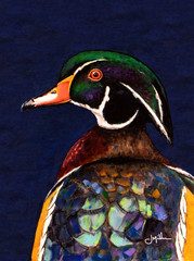 Hand Painted Original Wood Duck Drake by Jeff Miller, Not a print, Signed