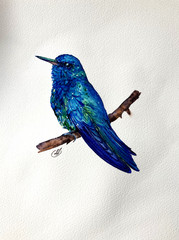 Blue Hummingbird Original Watercolor Painting
