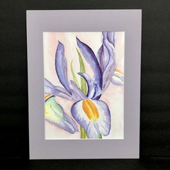 Purple Lavender Iris Flower Original Watercolor Painting Artist Signed 12×16″