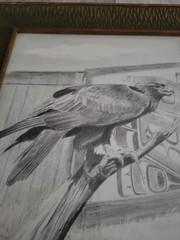 Vintage NATIVE AMERICAN Graphite Artwork SKETCH PRINT Mark Coleman 91 Picture