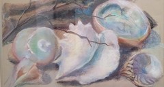 Vintage Pastel Painting „Shells“ Seashell Signed & Framed Wall Art