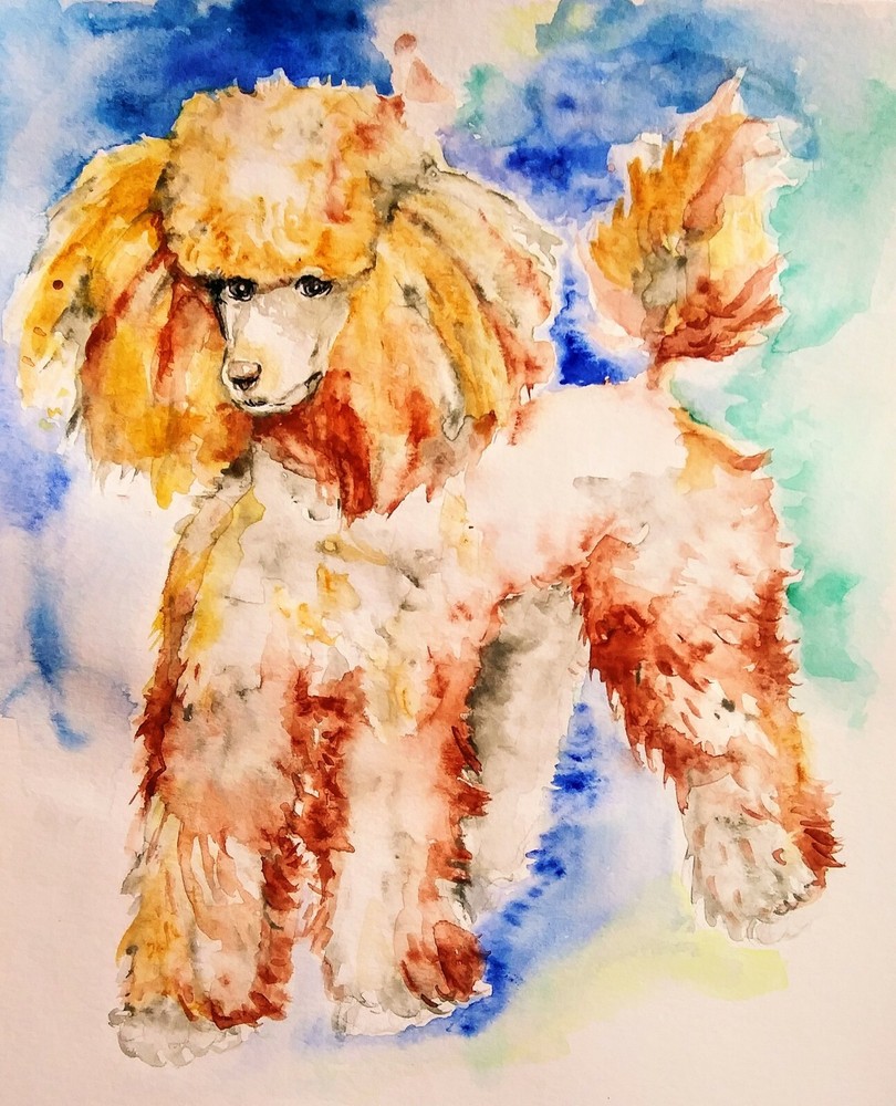 Pink poodle art original watercolor painting,dog art,walldecor,dog lover gift