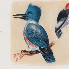 Joseph Daniel Fiedler Original Mixed Media Painting „Kingfisher“