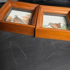 Joseph Quinn Whipple Abercrombie & Fitch 3D SHADOWBOX Pair Birds Woodcock Quail