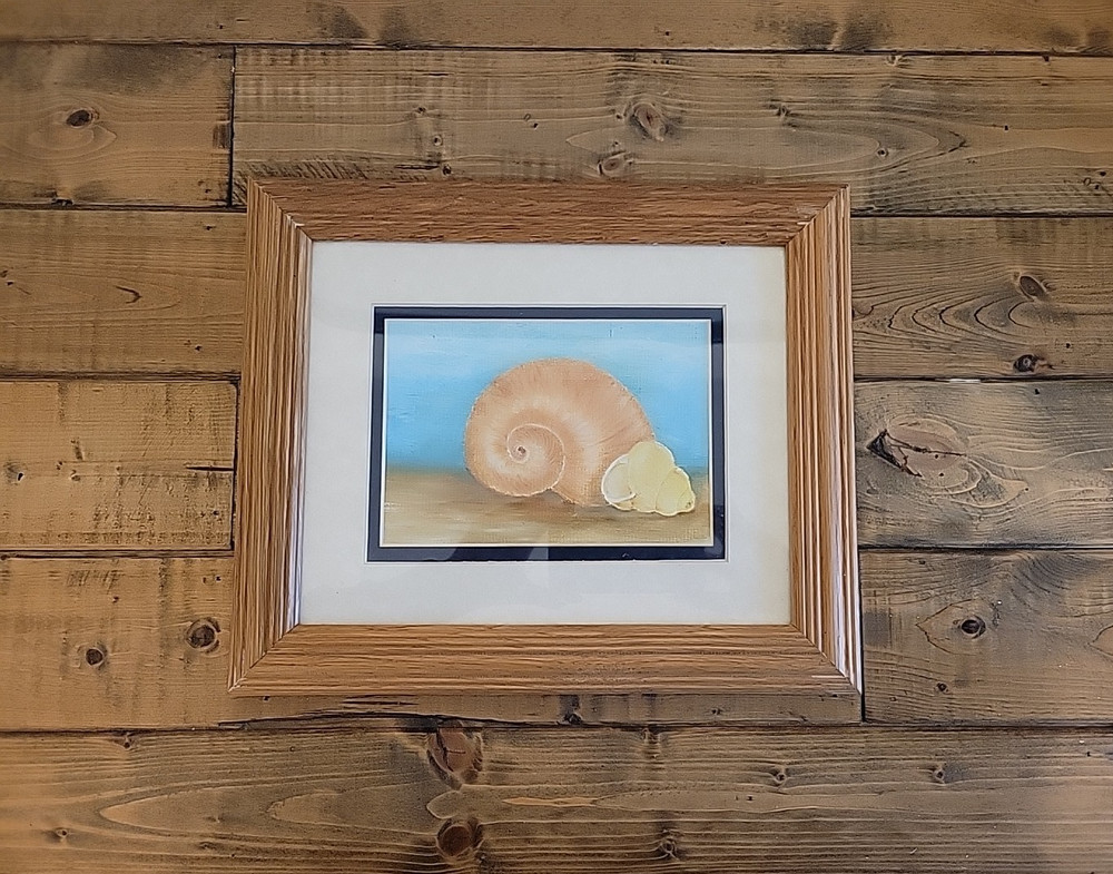Beautiful Original Watercolor Seashells on Board Framed 10″ x 12″