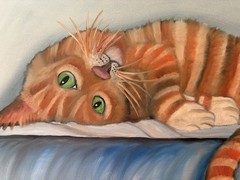 Original oil painting 11 x 14 inches beautiful colorful orange tabby cat
