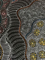 Rayleen Price Pula, Authentic Aboriginal art .Incl Photo’s and COA.