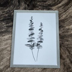 Watercolor Painting Eucalyptus Gray Scale, Framed In Canada 19 in x 15.5 in