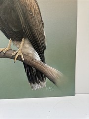 REALIST PAINTING EAGLE BIRD REALISM LARRY HUNT EXHIBITED NATURE WESTERN ARTIST
