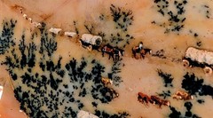 Vtg Painting Wagon Train on Dendritic Agate Frontier Western Pioneer D Lanham A+