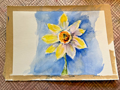 Original watercolor painting of a daffodil on blue background. signed by artist