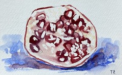 WATERCOLOR painting ORIGINAL art Pomegranate fruit artwork Food wall art 4×6″