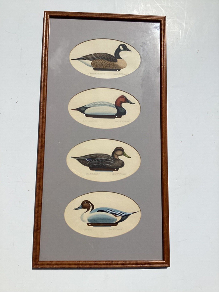 William P. Tyner Original Watercolors Ducks & Canada Goose