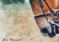 ORIGINAL Watercolor Painting “ Horse Head “ 9″ X 11″