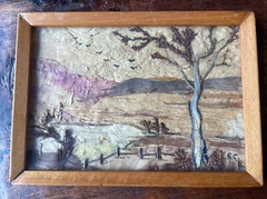 Original Bark Picture Australian Billabong S. Clas Tree Signed E. Cruden Antique