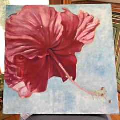 Original Painting by Caribbean artist Chester Delacruz PINK Hibiscus 24×24