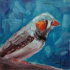 Original Oil Painting Zebra Finch Bird 6 x 6 inches Birds Painting