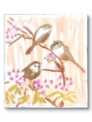 Colorful Pop Art Original Birds Cherry Blooms‘ Wall 11×14 Canvas