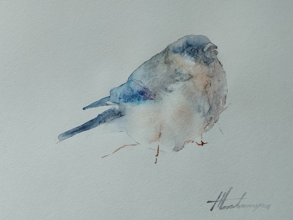 Bullfinch, Birds, Watercolor artwork, Handmade, Original painting on paper