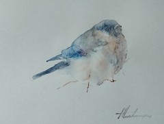 Bullfinch, Birds, Watercolor artwork, Handmade, Original painting on paper