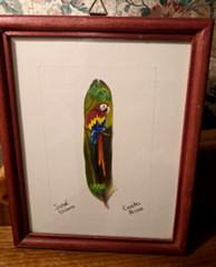 Vintage 2 JOSE GARRO – PARROT PAINTED on FEATHER – Costa Rica – Framed &SIGNED