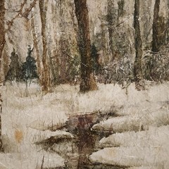 J. Stephenson 21.5″x17.5″ Winter Forrest Watercolor Fiberglass Print Wood Frame
