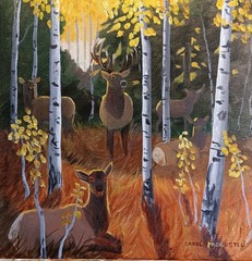 Original oil painting wildlife bull cows elk wapiti apens shade Carol Proebstel