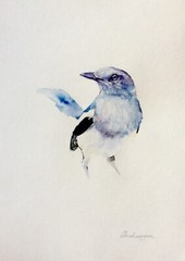 Blue Sparrow, Birds, Watercolor artwork, Handmade, Original painting on paper