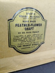 Ida Bisek Prokop (Lot Of 2) Handmade Feather Flower Craft Dakota Prairie Framed