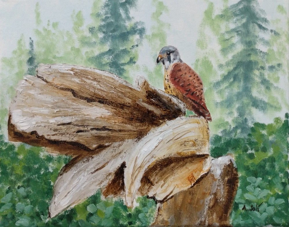 Oil Painting Kestrel Falcon Predator Bird Tree Landscape Animal Art A. Joli
