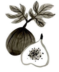 Fig Leaves & Fruit Painting, Black & White Botanical Art 8×10