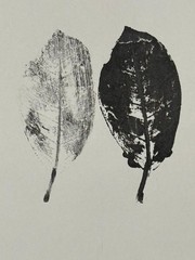 Ana Mendieta Cuban Artist Ink On Cardboard